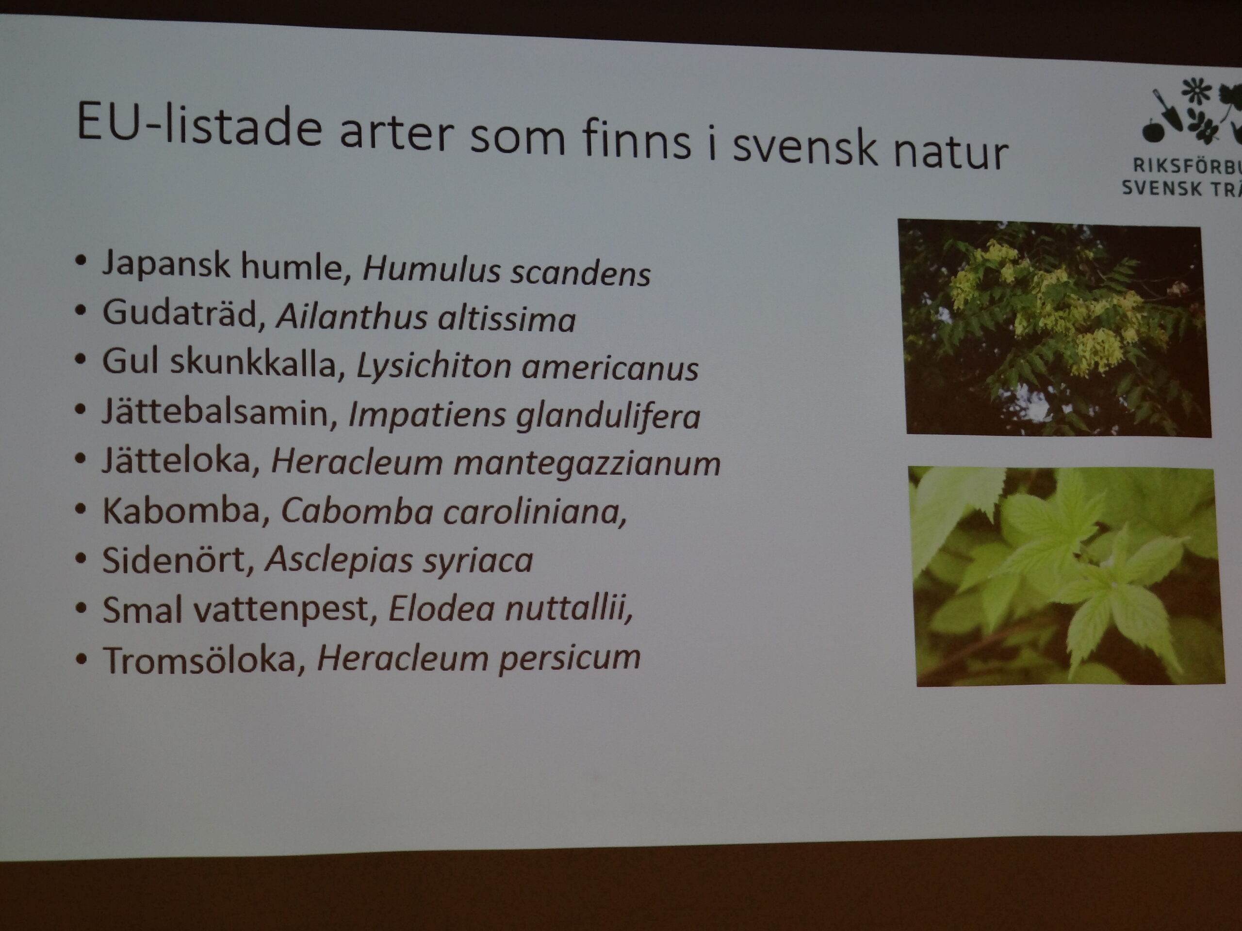 Invasiva främmande arter.