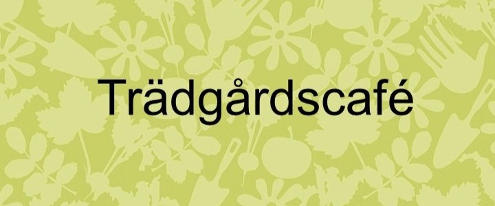 Trädgårdscafé – Rosor